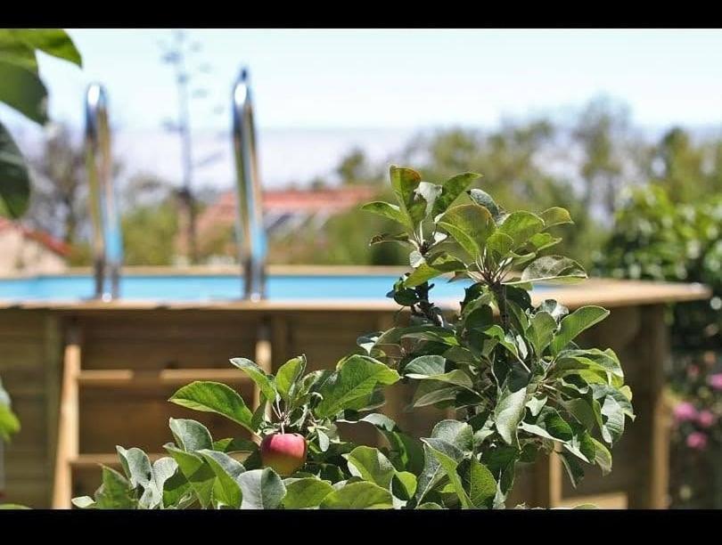 Villa Casa Rosales With Pool & Wifi à Puntagorda Extérieur photo